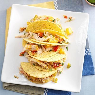 pote de barro frango manga