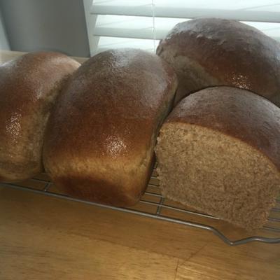 pão de trigo integral ii