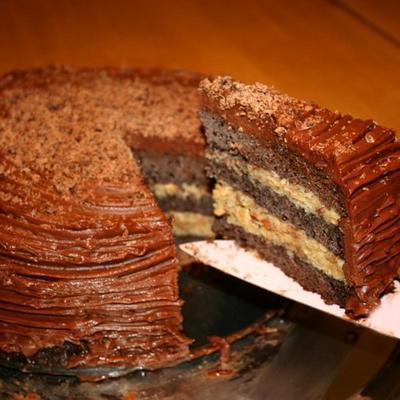 bolo de chocolate alemão iii