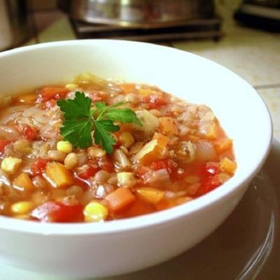 sopa de legumes lentilha de inverno