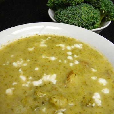 sopa de brócolis e stilton