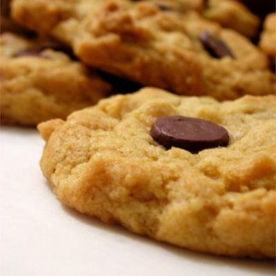 biscoitos de chocolate de aveia iv