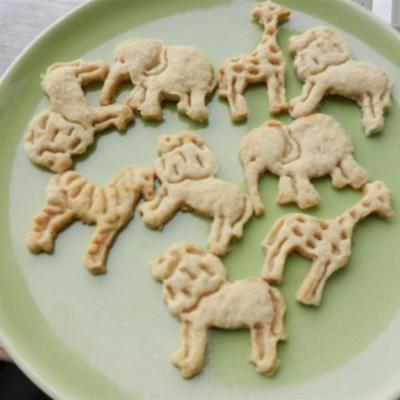 biscoitos de animais