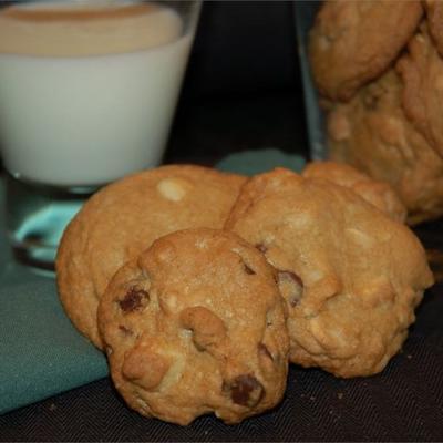 biscoitos de macadâmia com gotas de chocolate