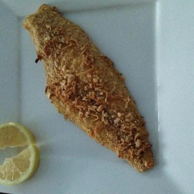 peixe de coco de noz