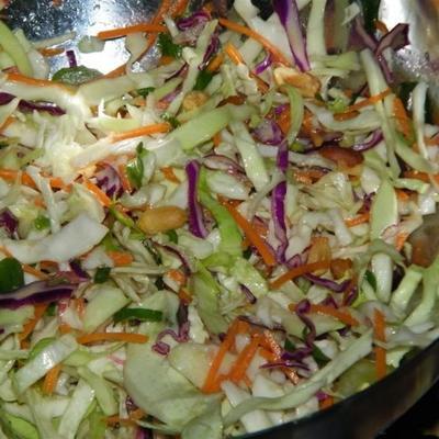 salada de repolho estilo tailandês rápida e fácil