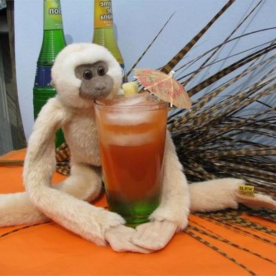 macaco bêbado