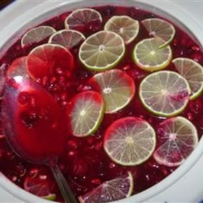 molho cranberry-romã de férias