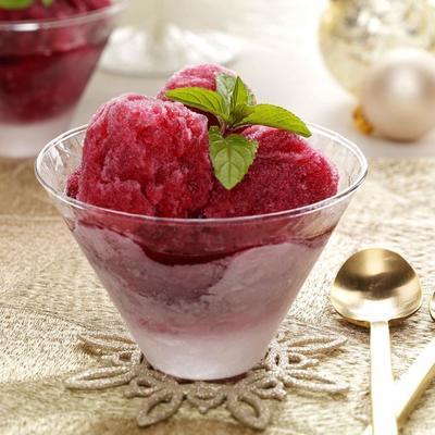 granita de cranberry e champanhe