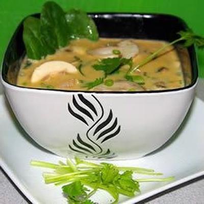 sopa de caril tailandês