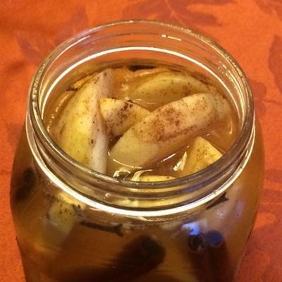 pickles de geladeira de maçã
