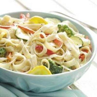 jardim primavera jardim primavera