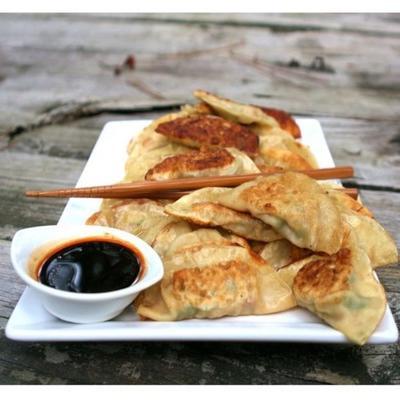 potstickers (bolinhos chineses)