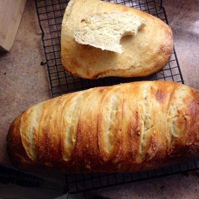 dor de campagne - country french bread