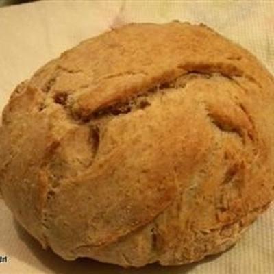 pão de trigo integral para pão