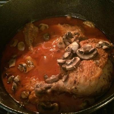 cacciatore da galinha da minha mãe