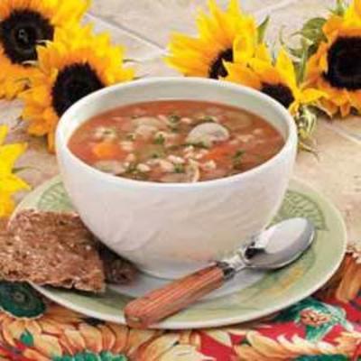 sopa saborosa de cogumelos e cevada