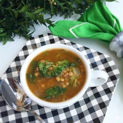 sopa de lentilha fácil de espinafre
