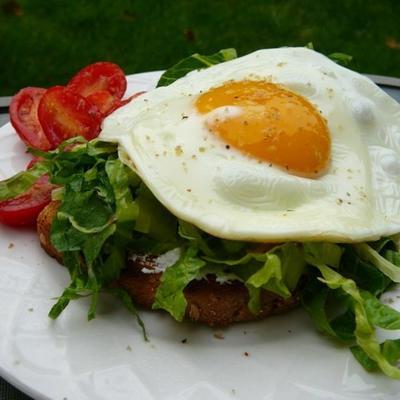 sanduíches de ovo aberto com salada de rúcula