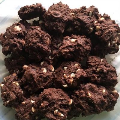 biscoitos de chocolate duplo coco duplo (uma torção em cookies de pedágio house®)