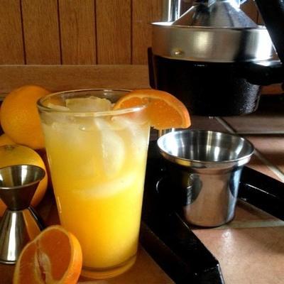 paixão laranja! laranja espremido fresco e vodka cocktail