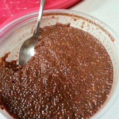 ch-ch-chia sementes de pudim de chocolate sem açúcar