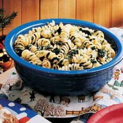 macarrão de férias lance