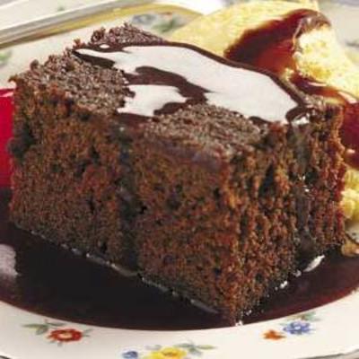 bolo de chocolate sanyati