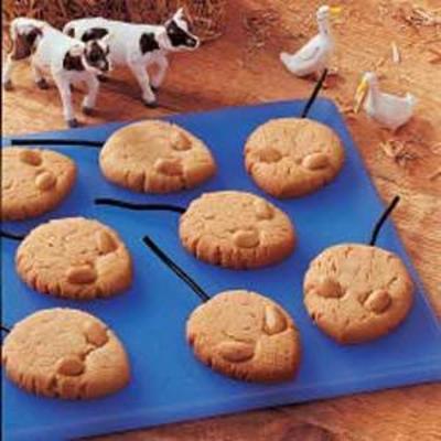 bolinhos do rato da exploração agrícola