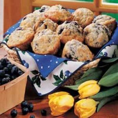 muffins de mirtilo do pat