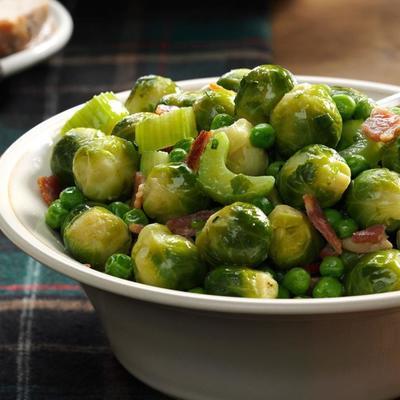 couve de bruxelas férias