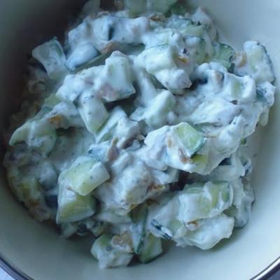masht-o khiyaar (salada de pepino persa com sultanas e nozes)