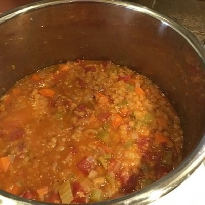 Sopa instantânea de lentilhas vegan