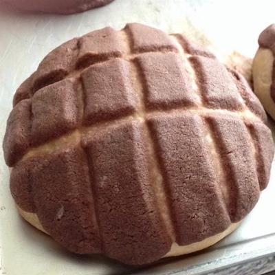 conchas de baunilha e chocolate