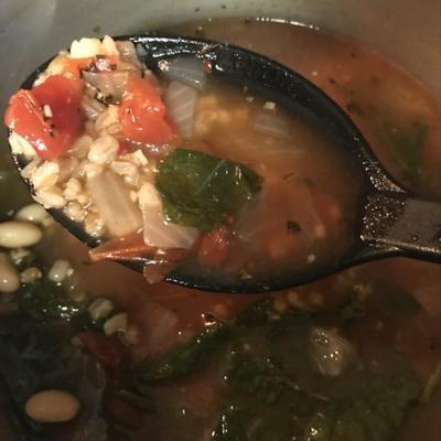 sopa italiana rústica com farro