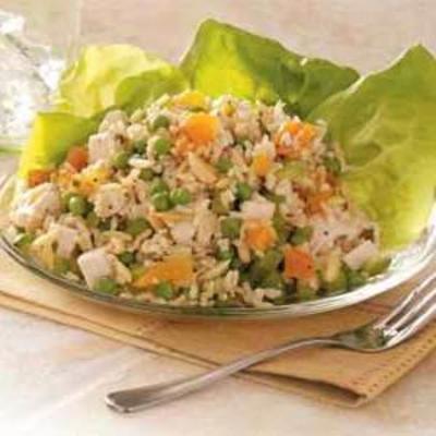 salada de frango e arroz integral