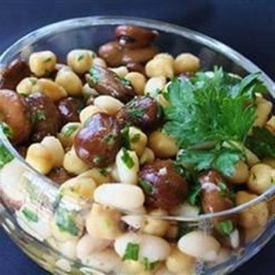 salada de feijão libanesa