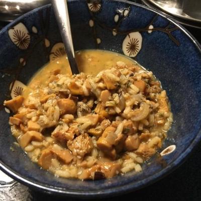 sopa de cogumelo chanterelle e arroz selvagem