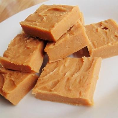 fudge de congelador de manteiga de amendoim (2-ingrediente)