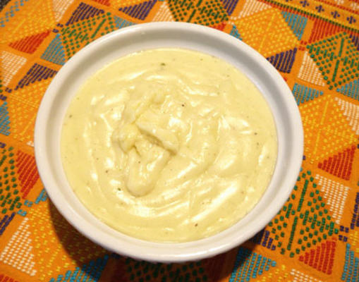 substitutos de sopa especiais - creme