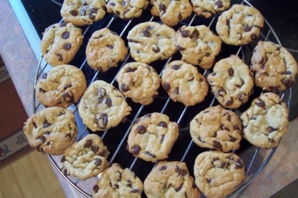 bolinhos de microplaqueta de chocolate deliciosos mastigáveis