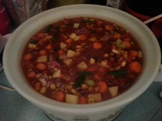 sopa de carne de vaca vegetal (crockpot)