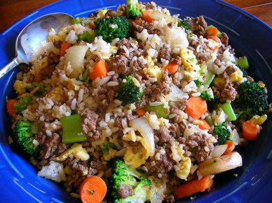 arroz frito de carne moída de kittencal