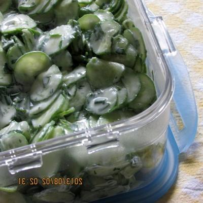 receita de salada de pepino escandinavo