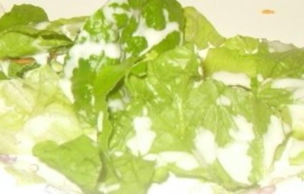 salada para adolescentes (e suas famílias)