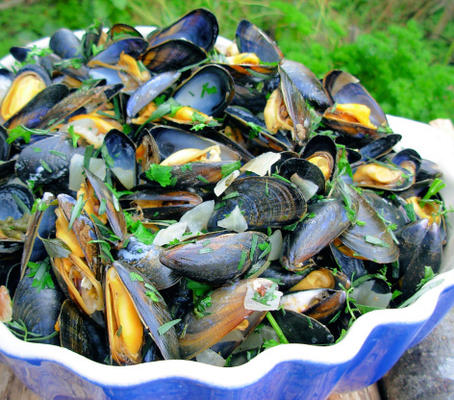 ahoy lá! moules mariniandegrave; res - mexilhões de marinheiro francês