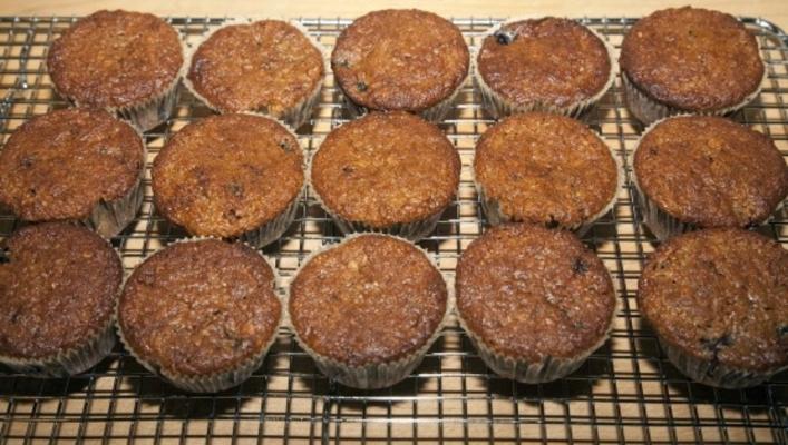 muffins de aveia com mirtilo