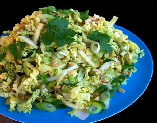 salada de repolho indonésia