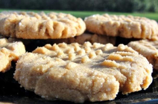 biscoitos de manteiga de amendoim sem farinha de bailey