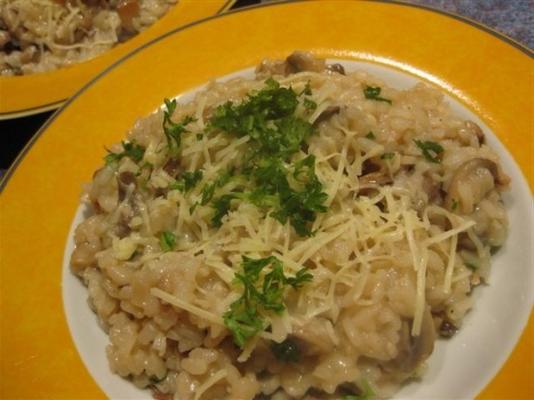Risoto de cogumelo